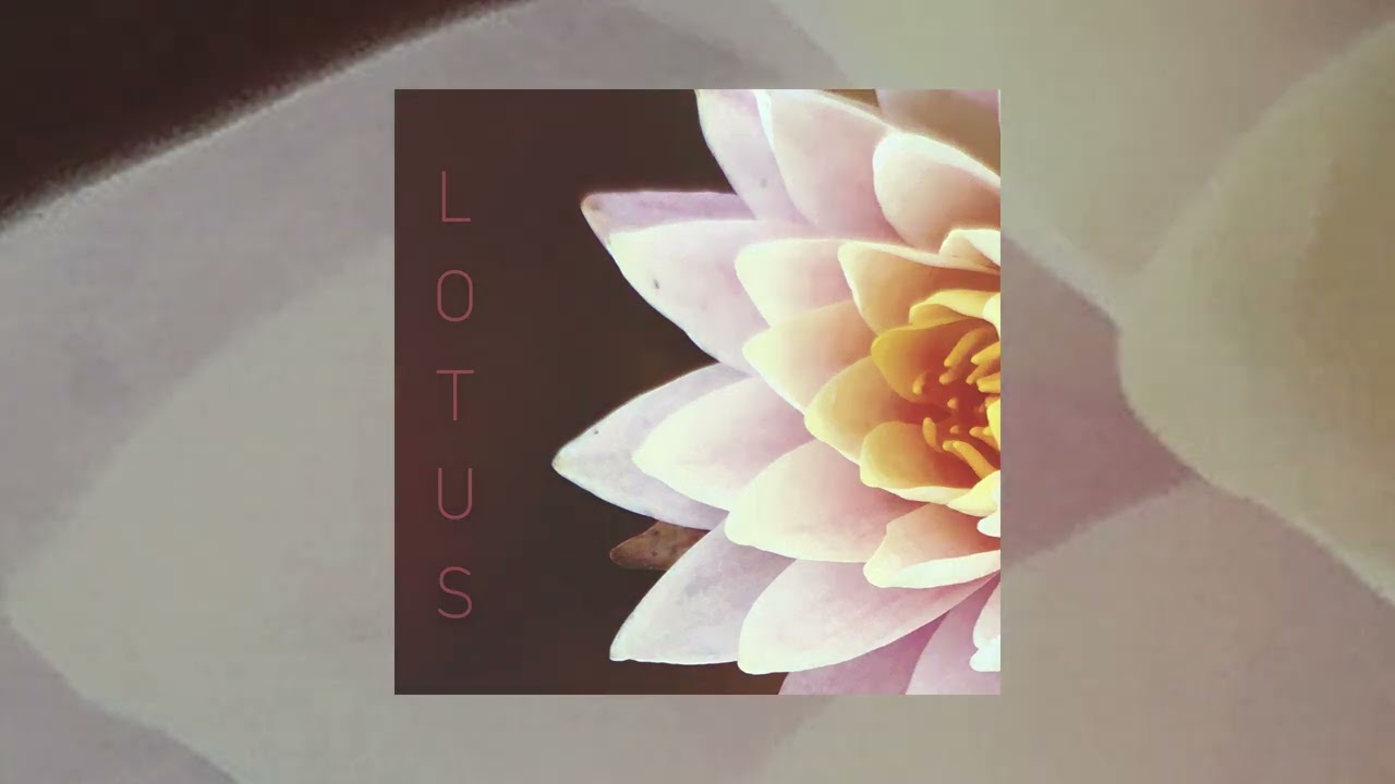 aego - LOTUS (prod. by VITALS)