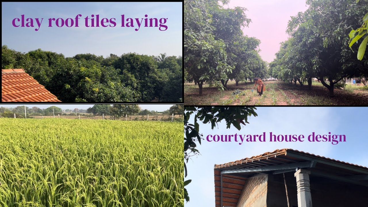 Farm vlog ||Eco-friendly house construction at farm ||courtyard house