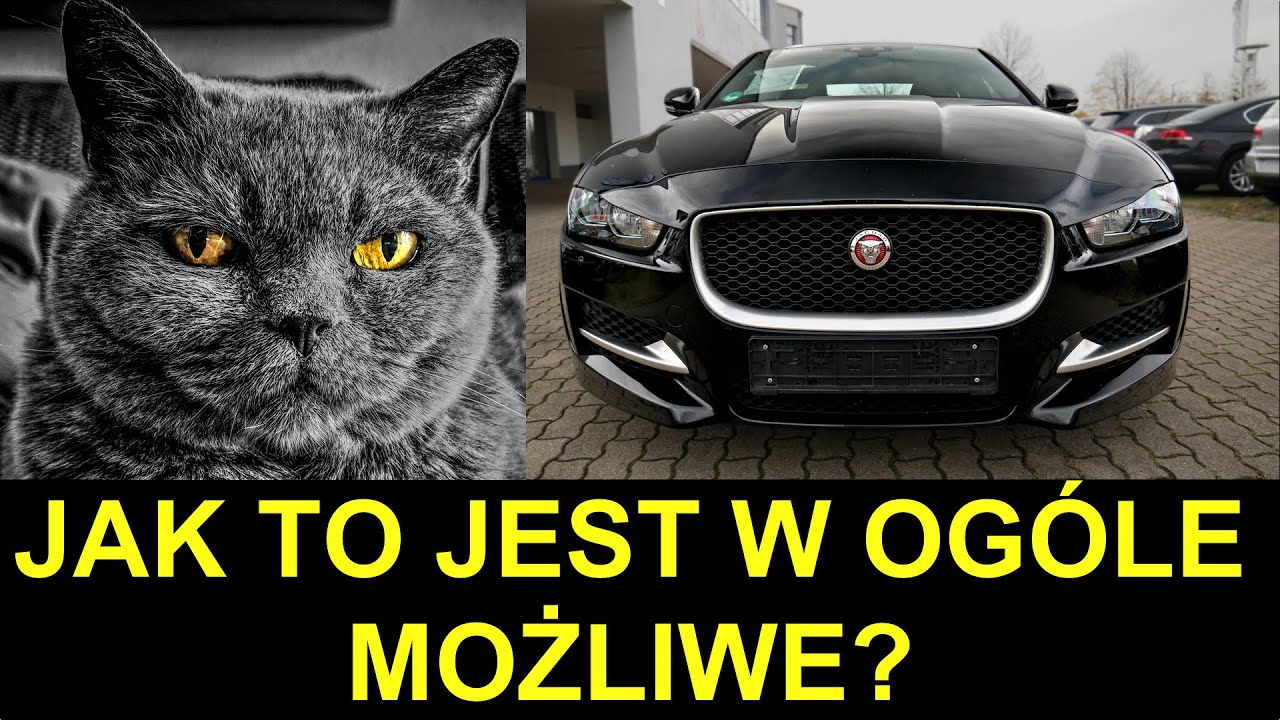 Ten Jaguar XE stracił 60% w ROK