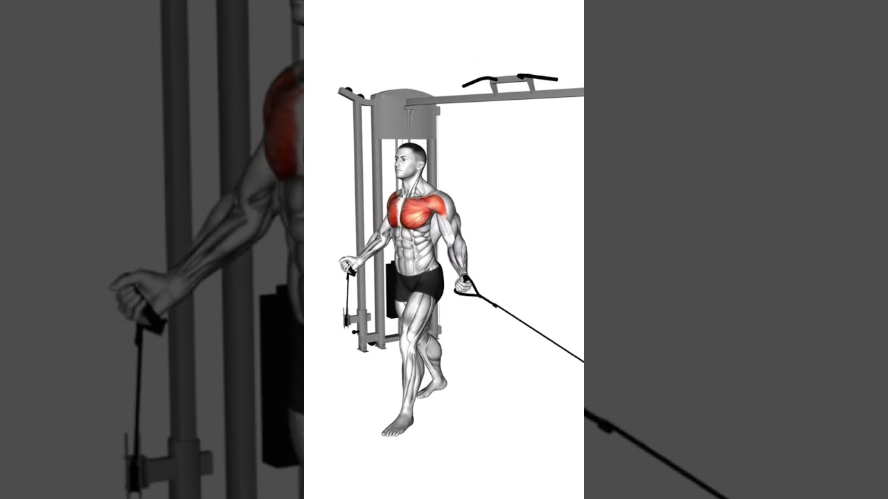 So trainierst du mit Flys die obere vs untere Brust! - Flys am Kabelzug #brusttraining