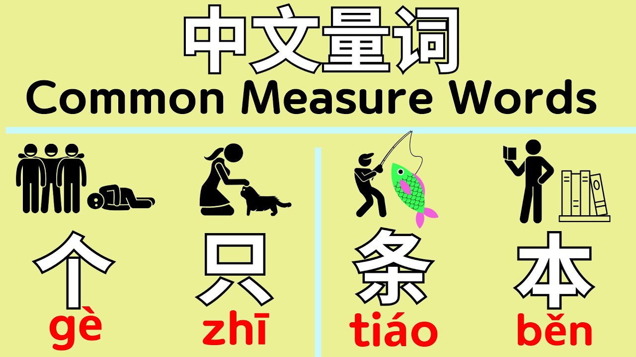 Master Learn Chinese Measure Words in 2024 and Become a PRO! I HSK Vocabulary Guide
