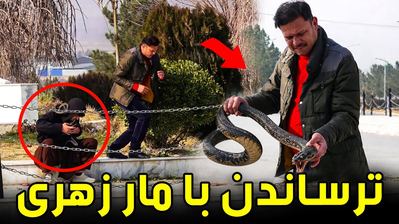 کمره مخفی: ترساندن مردم با مار  🐍😂