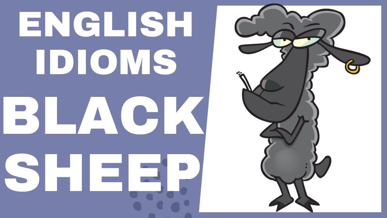 English idioms - Black Sheep - Learn English idioms