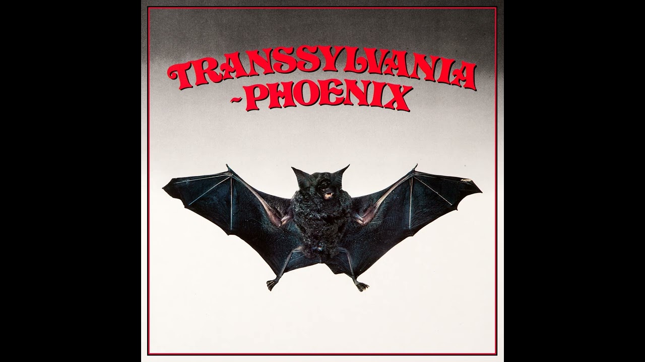 Phoenix - Stars Dance