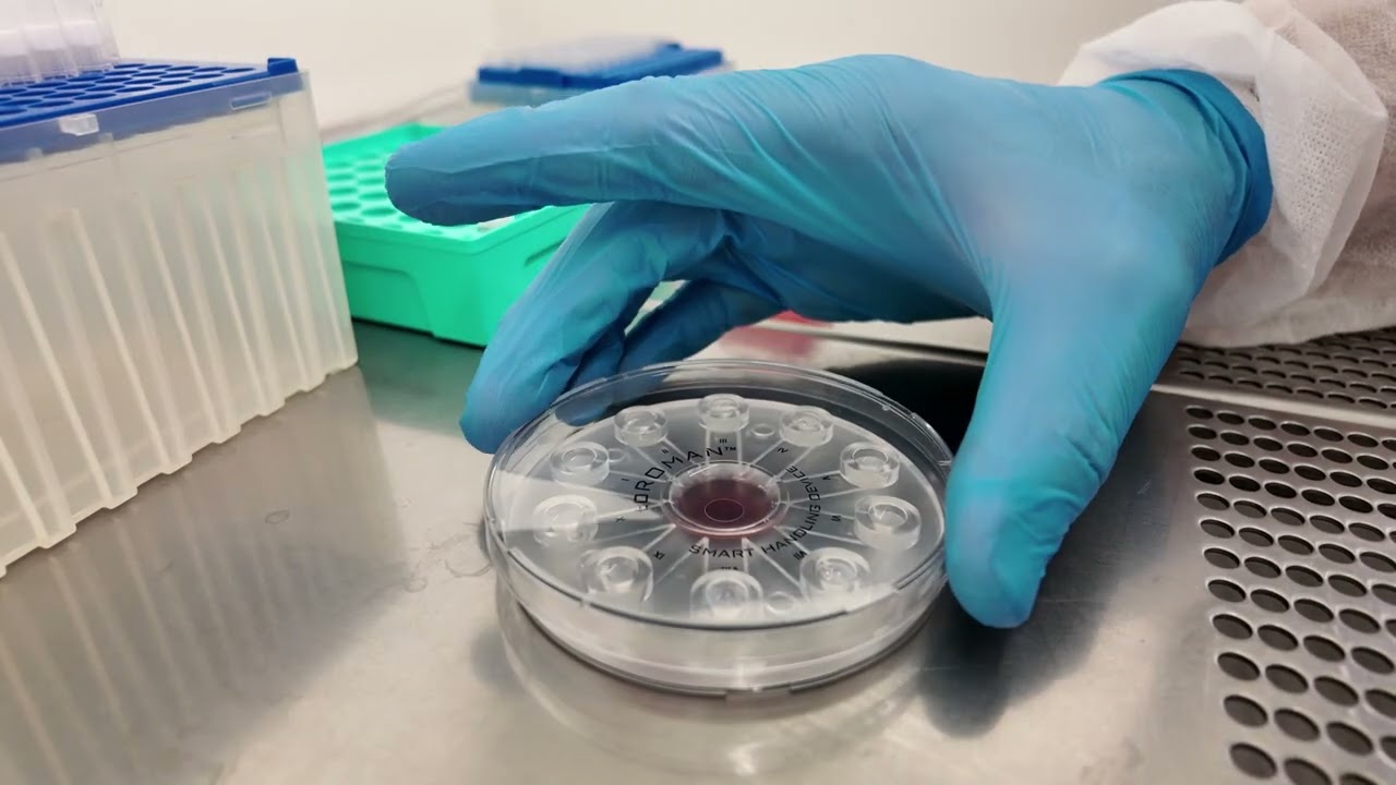 toROMAN MİKRO AKIŞKAN SPERM AYIKLAMA ÇİPİNİN ENJEKTÖR İLE KULLANIM VİDEOSU