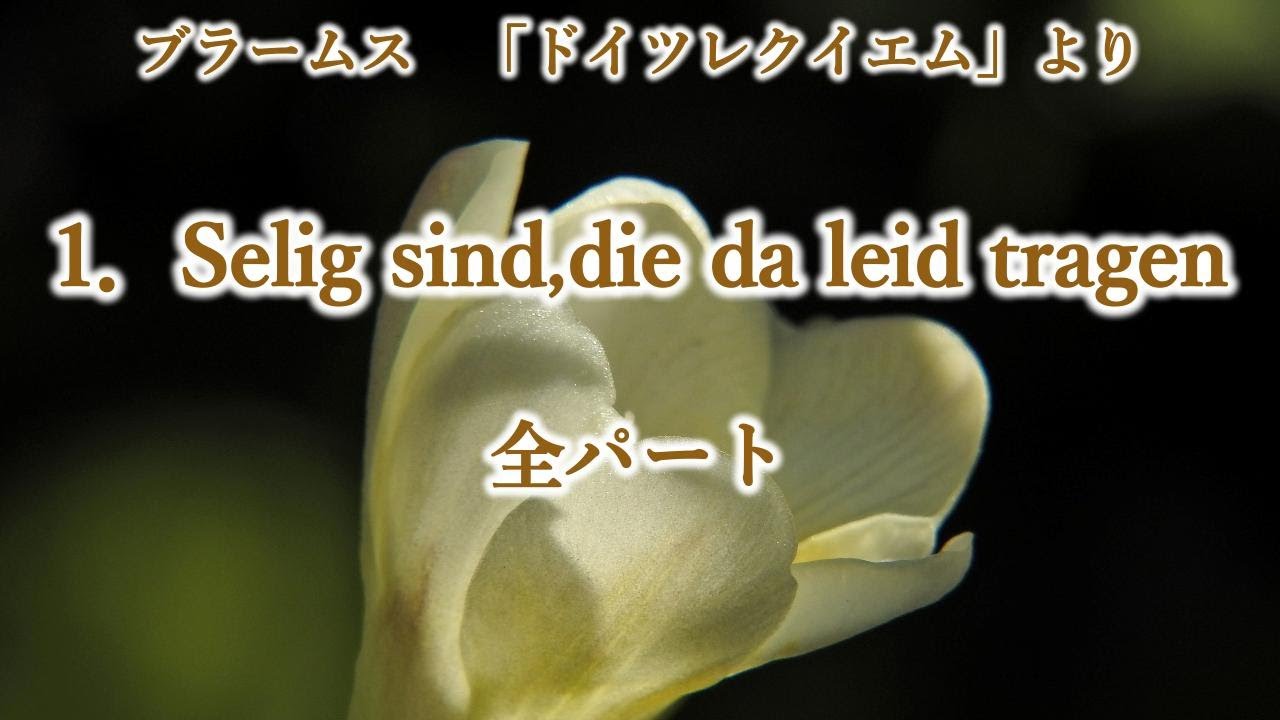 ブラームス　「ドイツ・レクイエム」より　１．Selig sind,die da leid tragen　全パート　BRAHMS: Ein Deutsches Requiem