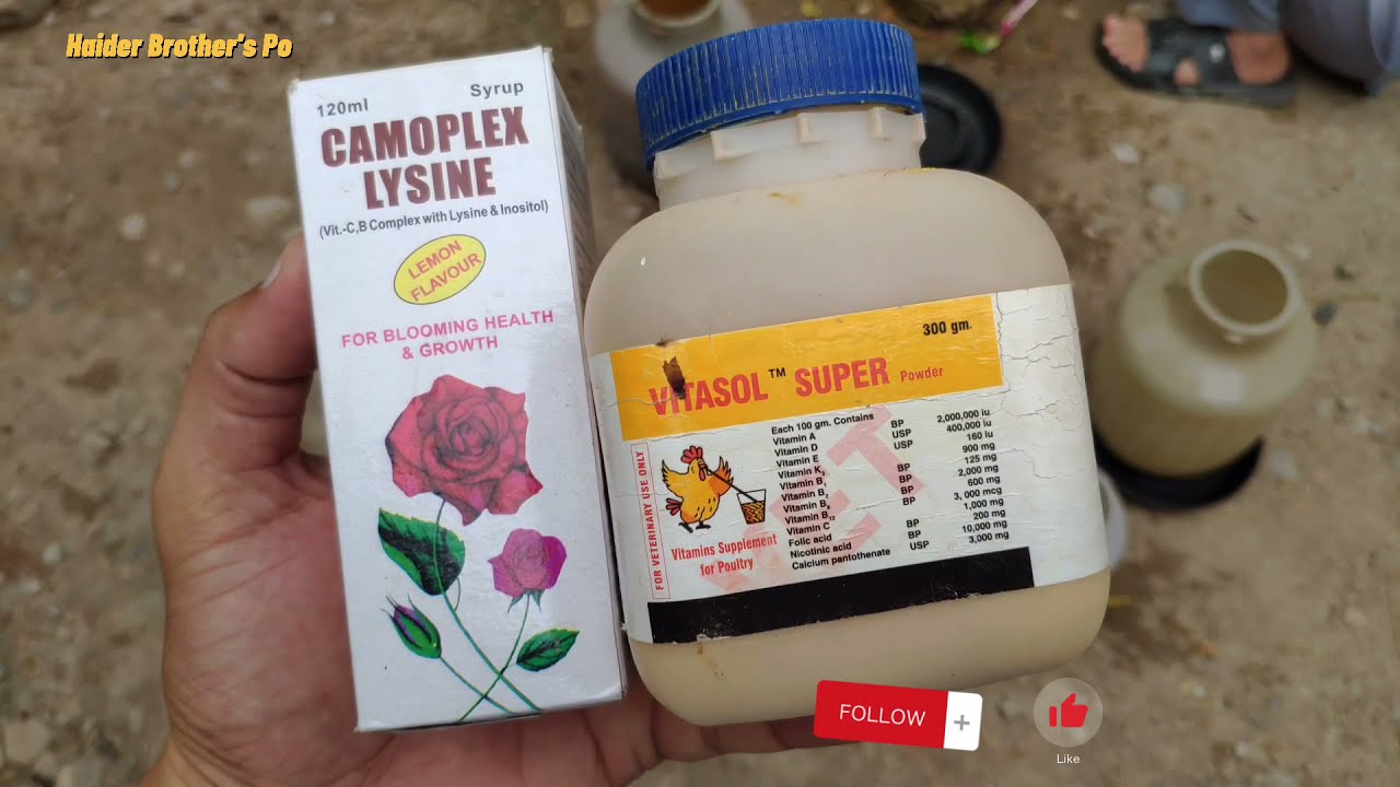vitasol super and Complex lysine secret of good health in chickens | HB Poultry Hangu | Kp