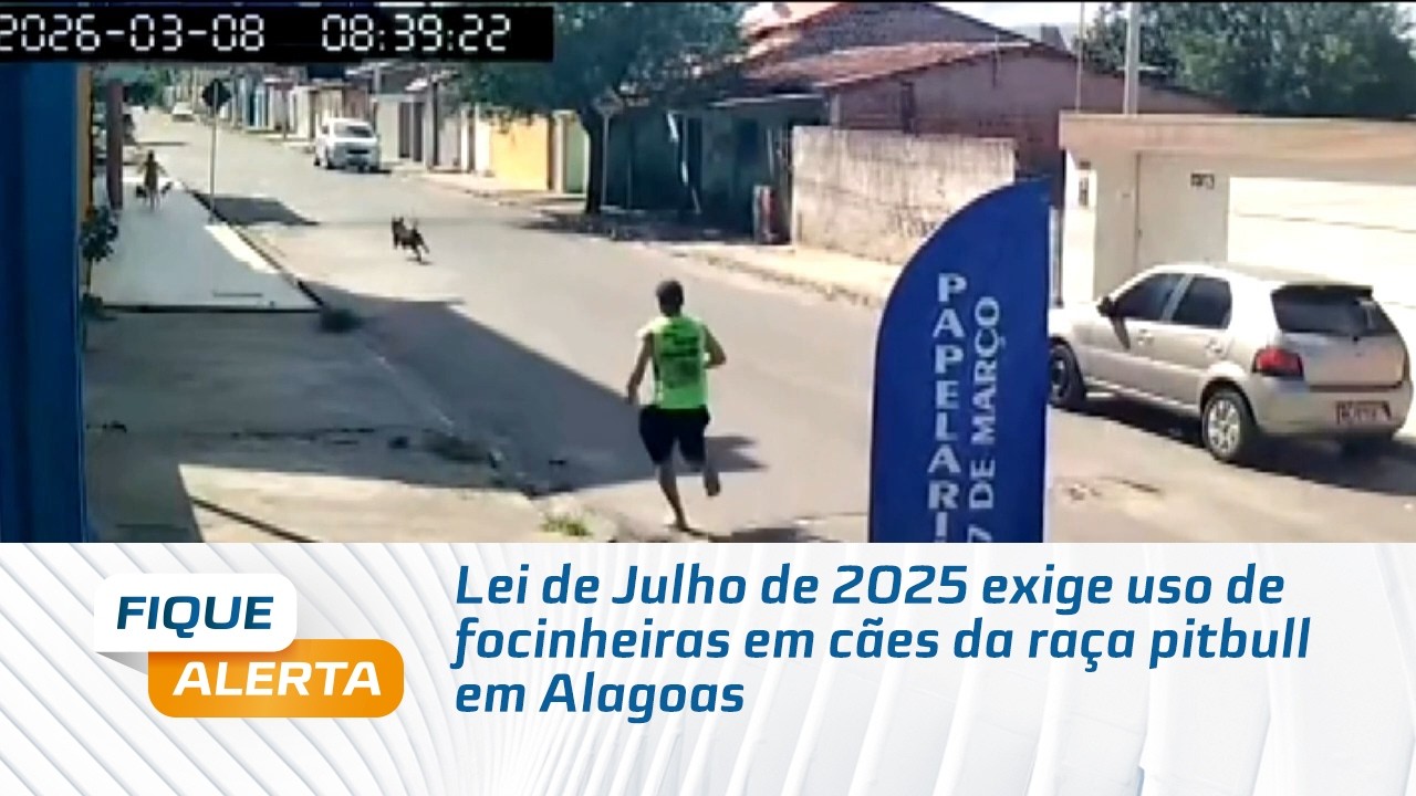 Lei de Julho de 2025 exige uso de focinheiras em cães da raça pitbull em Alagoas