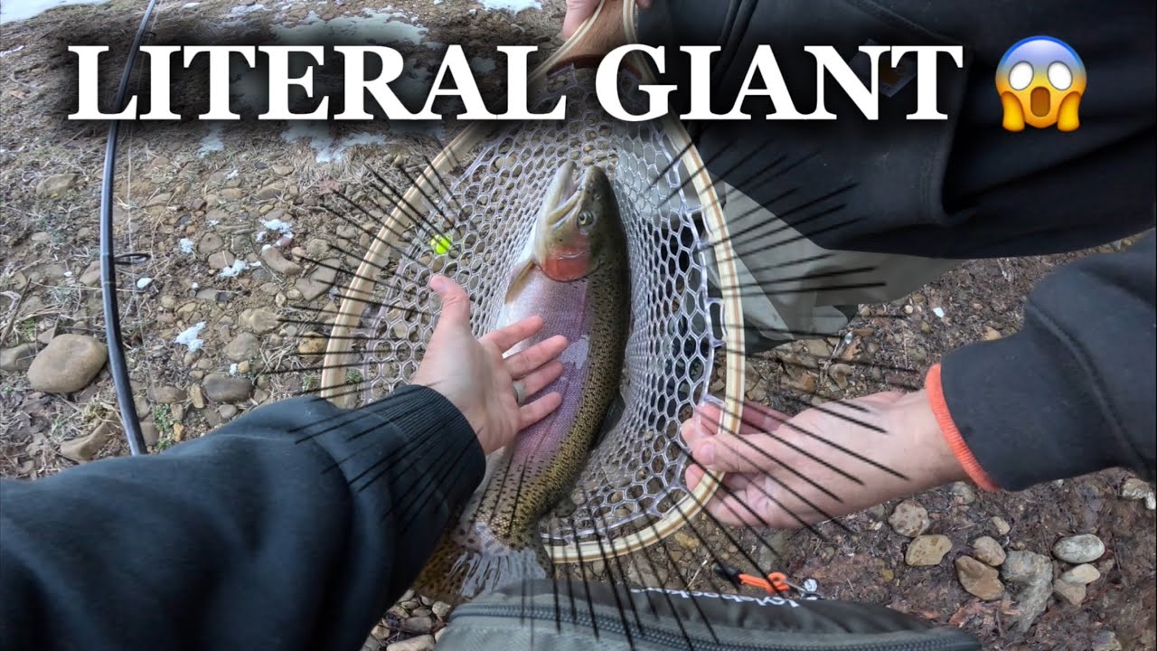 THE BIGGEST FISH OF MY LIFE!!!