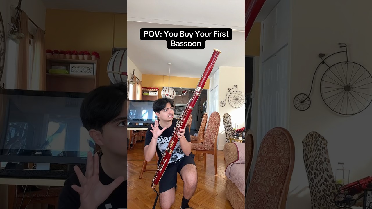 POV: Вы покупаете свой первый фагот