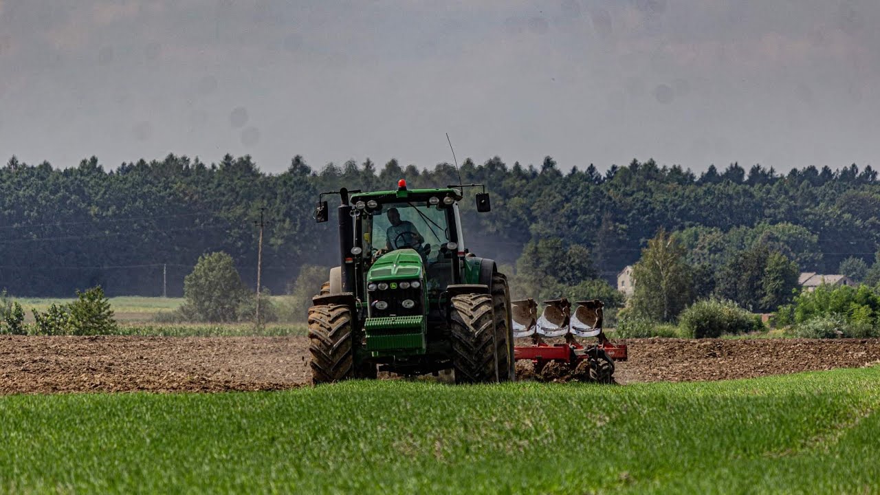 Orka&Siew Rzepaku na wielką skalę 2022//Spółdzielnia Cichobórz//Agro PL