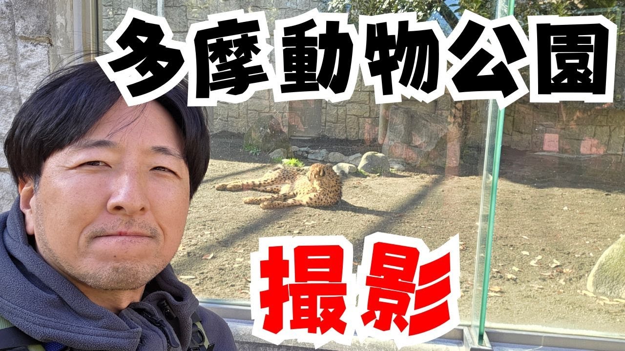 望遠で撮る多摩動物公園 tamron 50-400