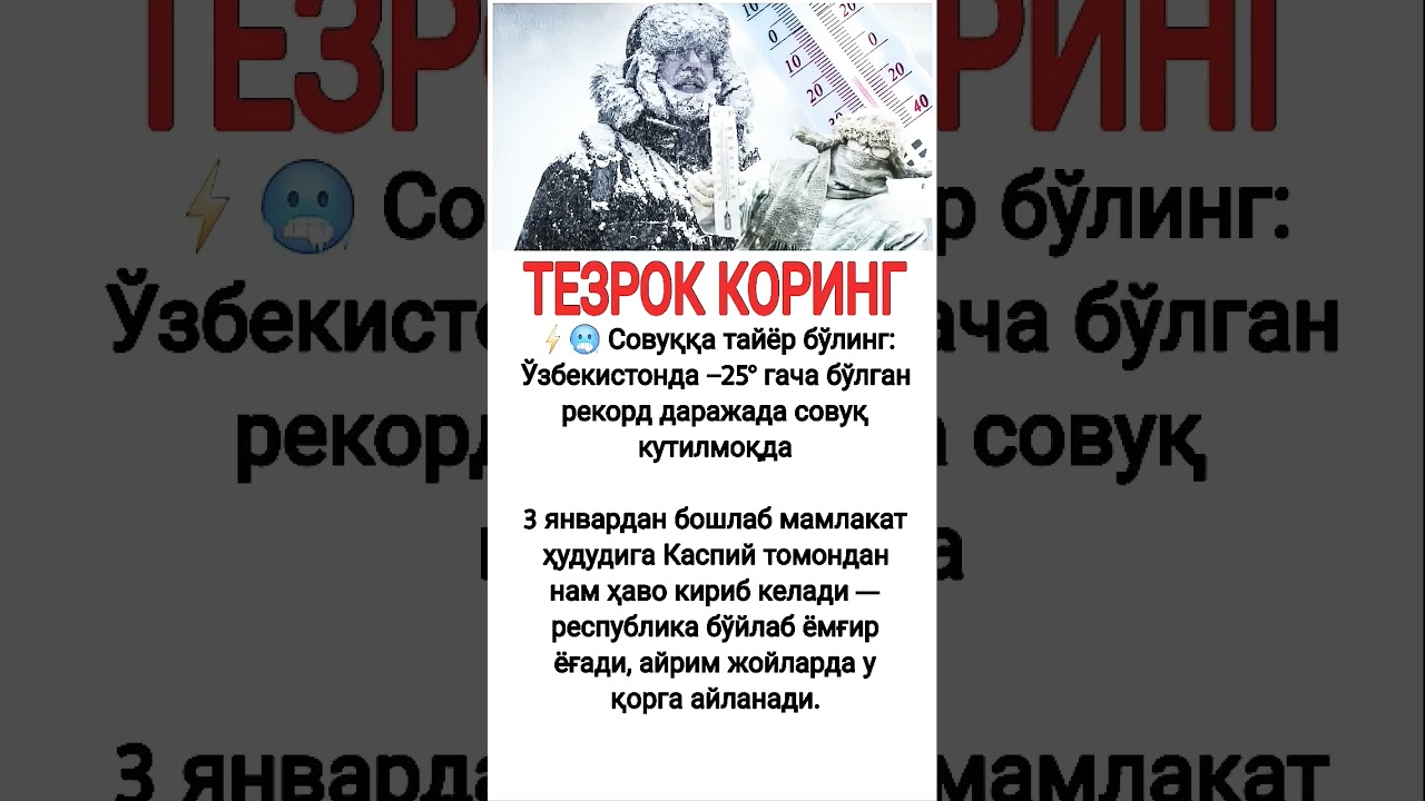 #rek #automobile #stitch #рекомендации #трек #funny #comedy #live #qarshi #uzbek #musofir #russia