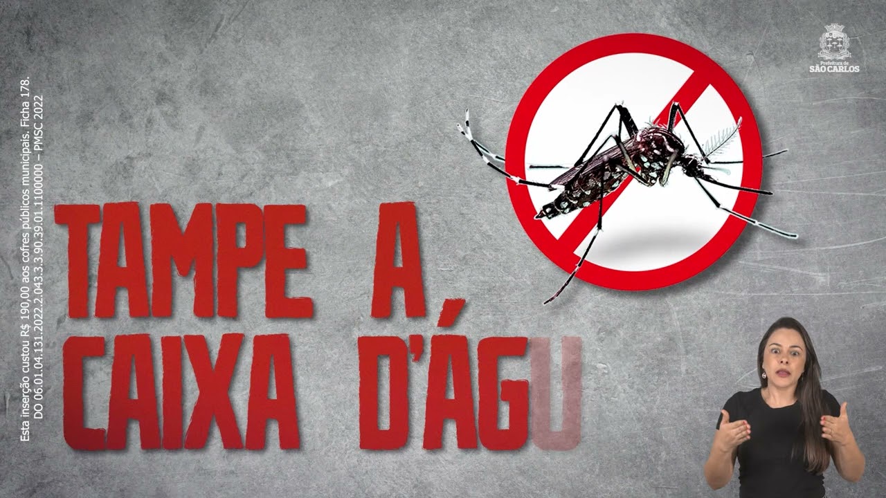 JORNALPP - DENGUE
