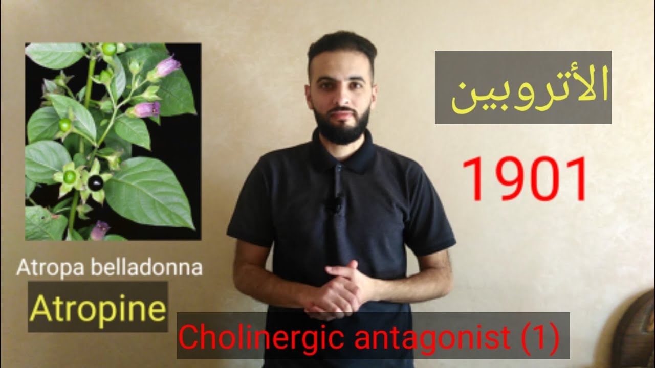 Cholinergic antagonist(1), ATROPINE الأتروبين