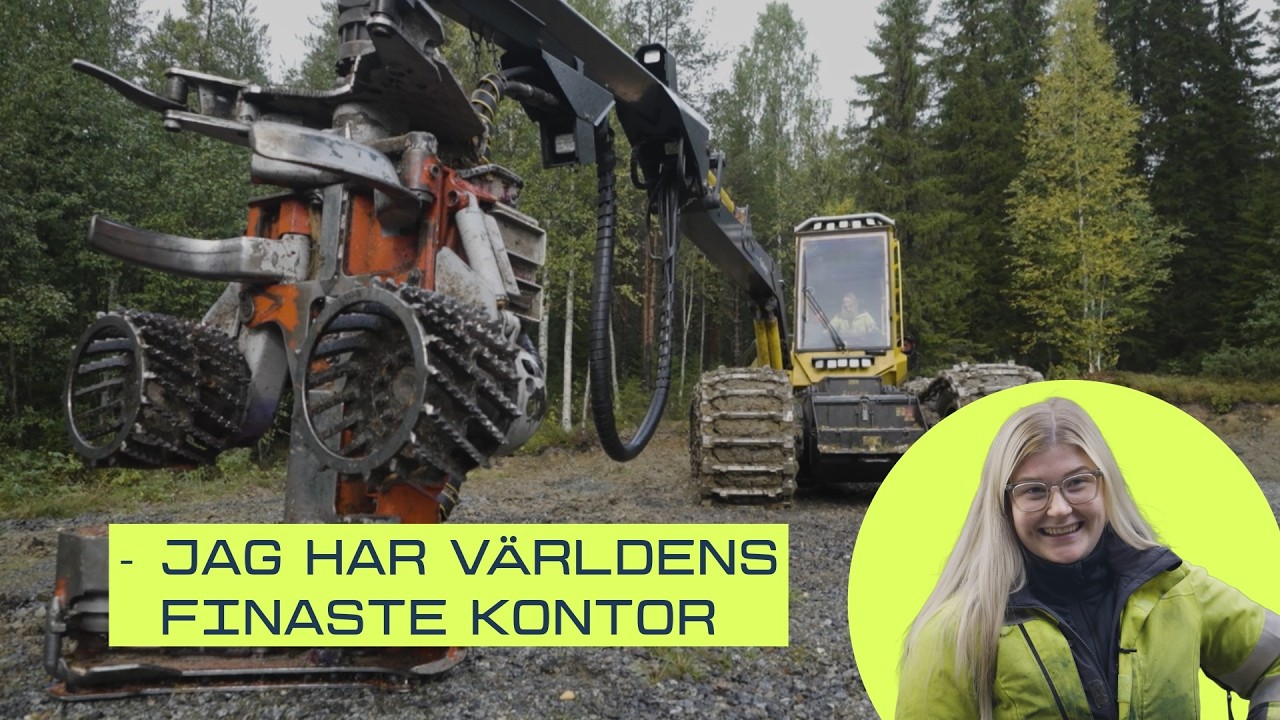 Drömjobbet i skördarhytten, det självständiga arbetet i skogen