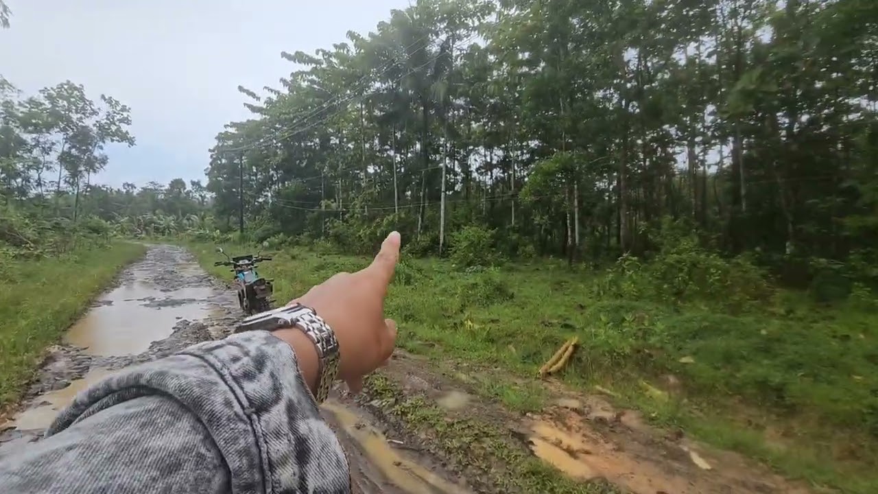 Dijual tanah kebun Akses mobil listrik masuk nempel pemukiman luas -+4800M² Harga 135 jt Nego 