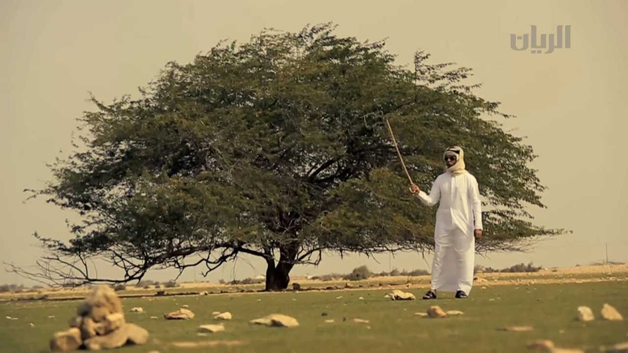 تقارير - روضة اليديدة