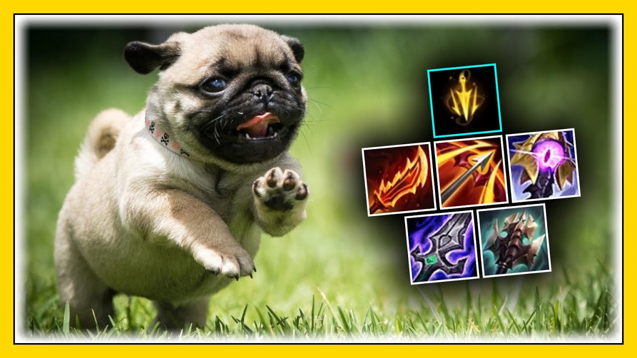 Riftmaker Kog'Maw ?