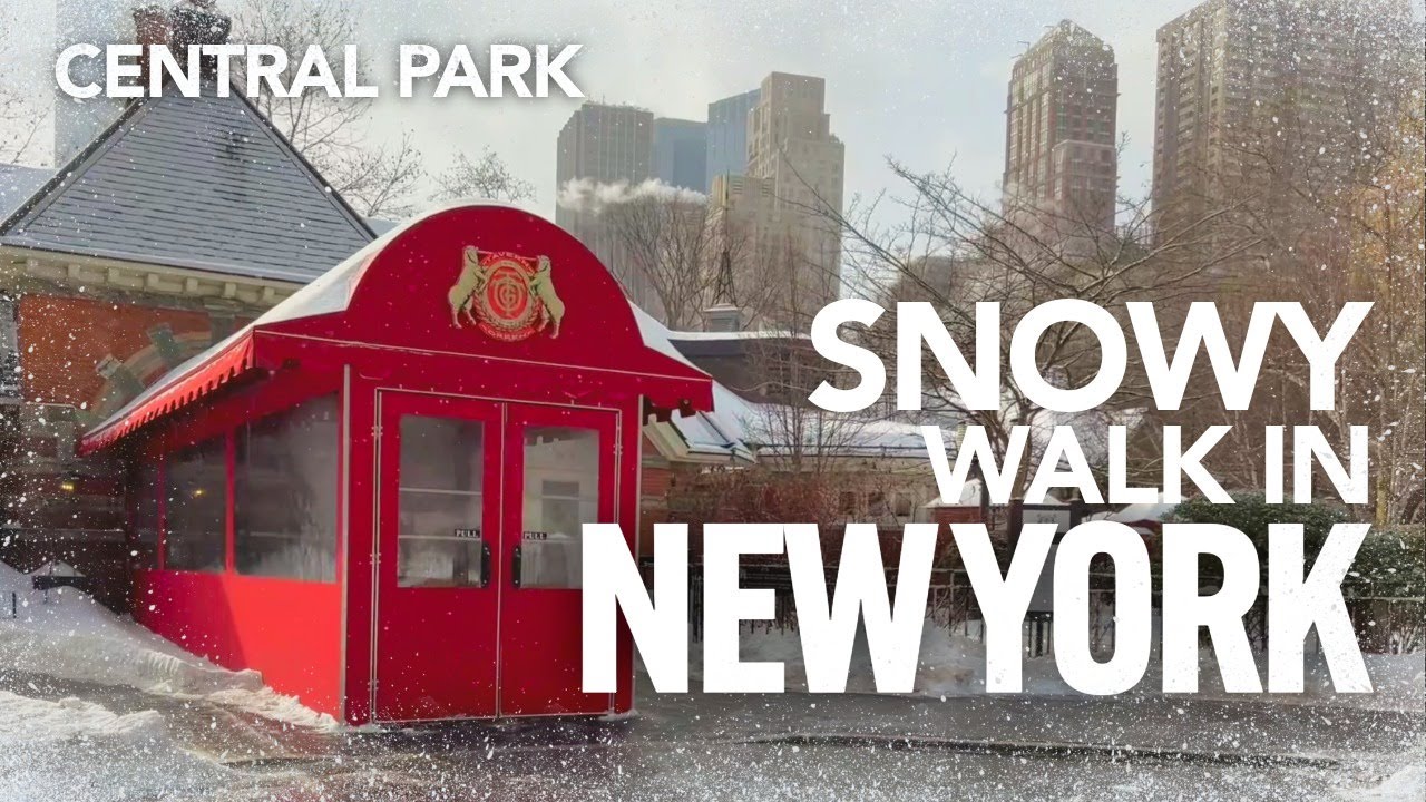 Snowy Walk in Central Park