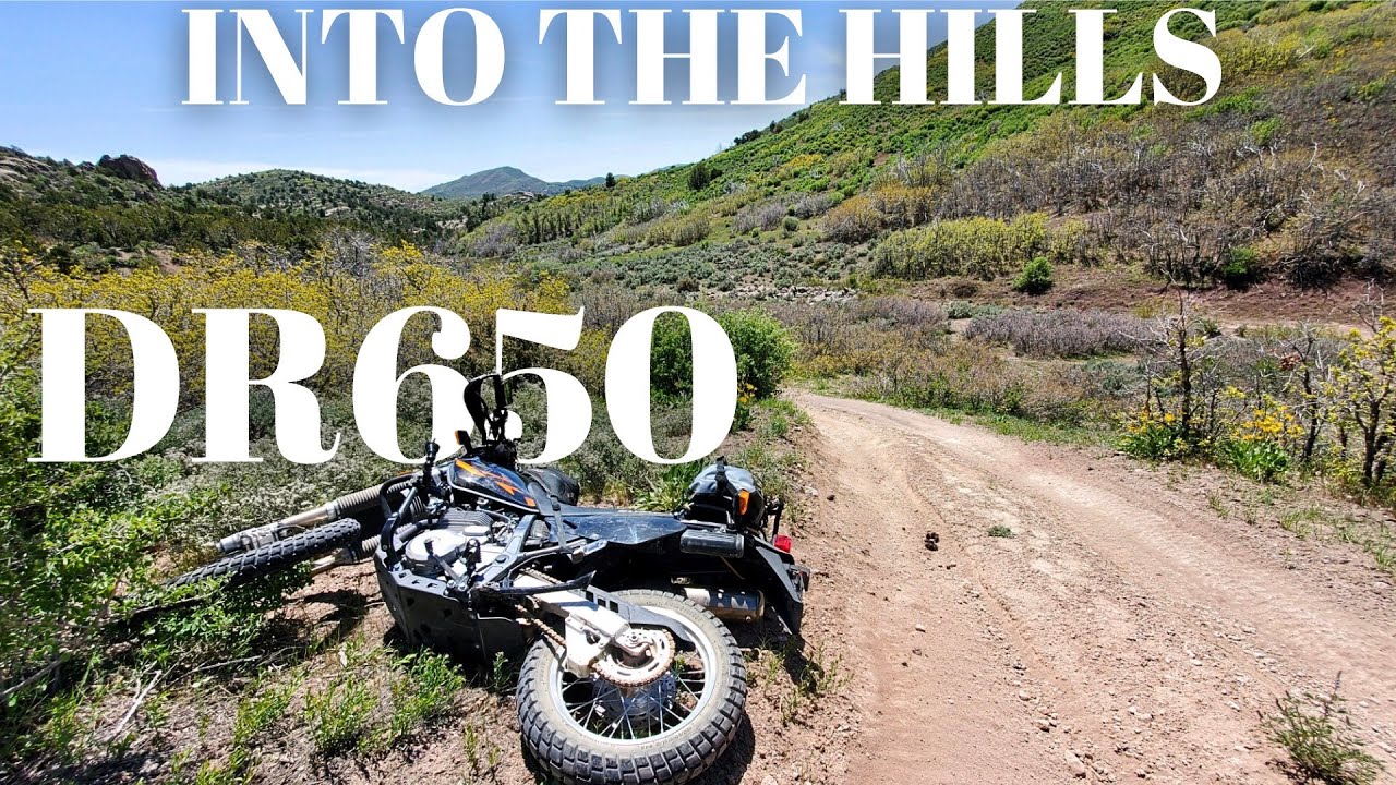 Into The Hills - Suzuki DR650