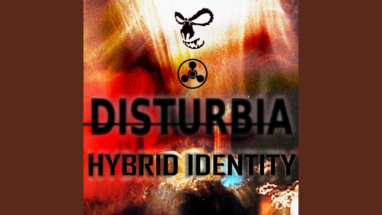 Hybrid identity