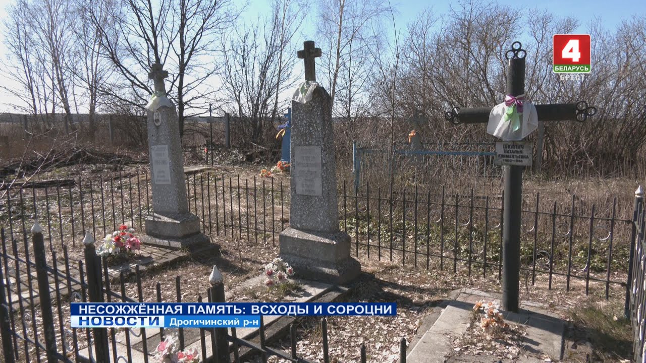 НЕСОЖЖЁННАЯ ПАМЯТЬ: ВСХОДЫ И СОРОЦНИ