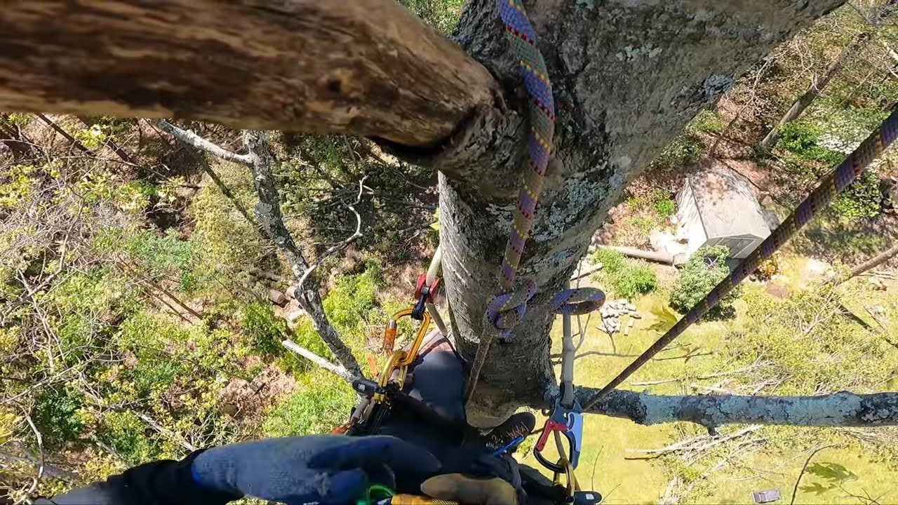 Using a notch quickie on a canopy anchor #shorts