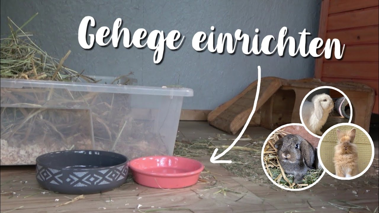 Kaninchen-Gehege einrichten 🐰💗 | Kaninchenstar
