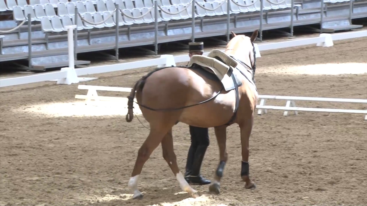 Colonel P. Teisserenc et F. Godelle - 12ème congrès de l'ISES - Le travail des sauteurs ...