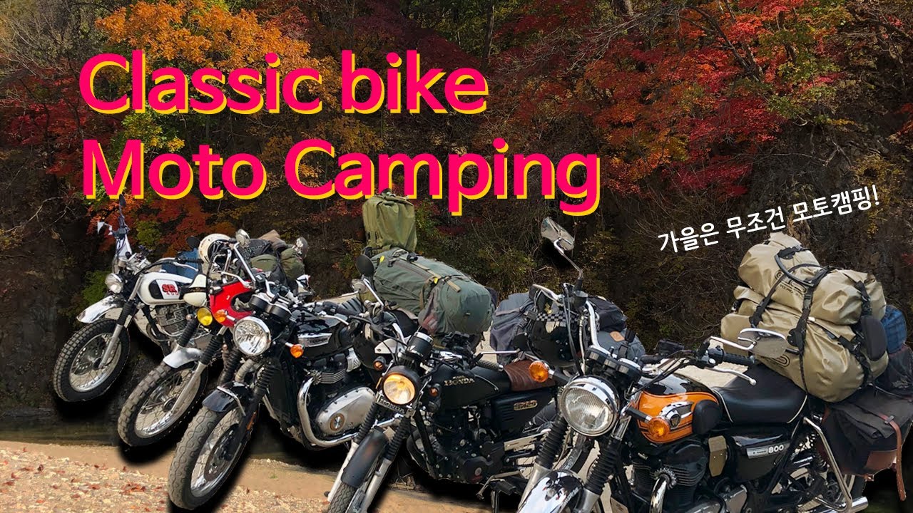 가을 모토 캠핑 / 클래식 바이크 / W800 / MotoCamping