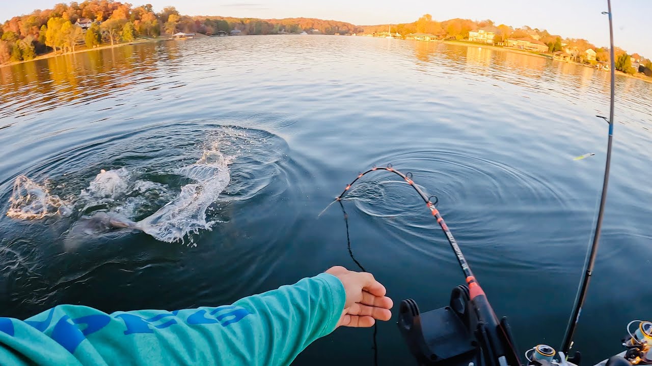 HUGE Catfish Takedown!!! The BIG Cats Were Chewing