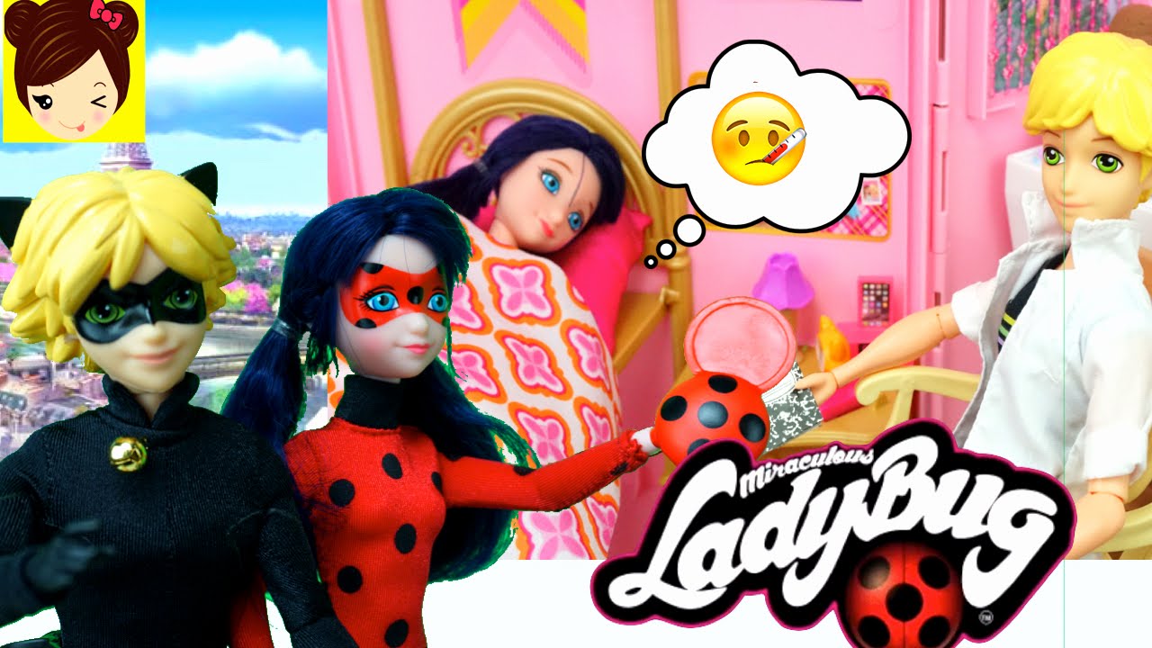Lady Bug y Cat Noir 