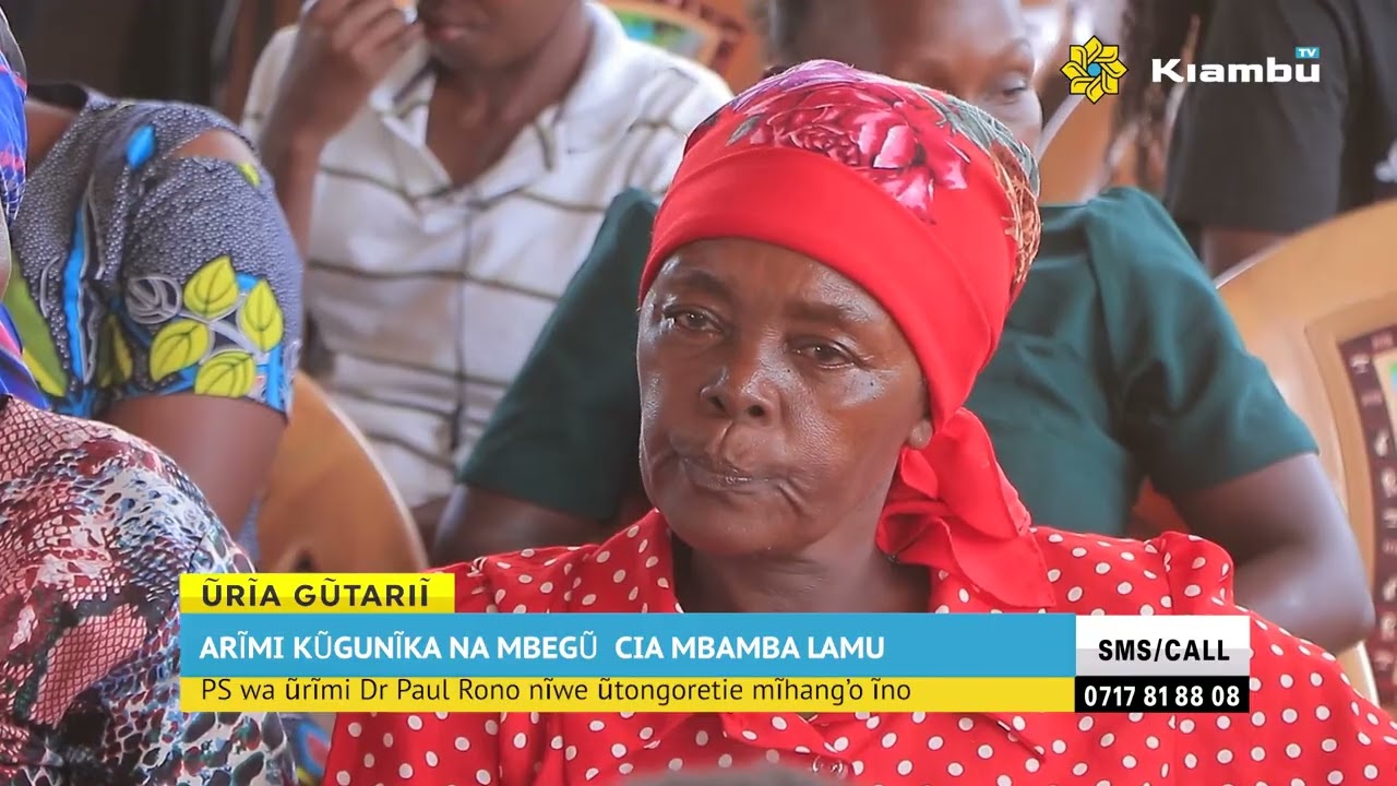 Lamu Cotton Farmers Set to Benefit from BT Seeds Rollout