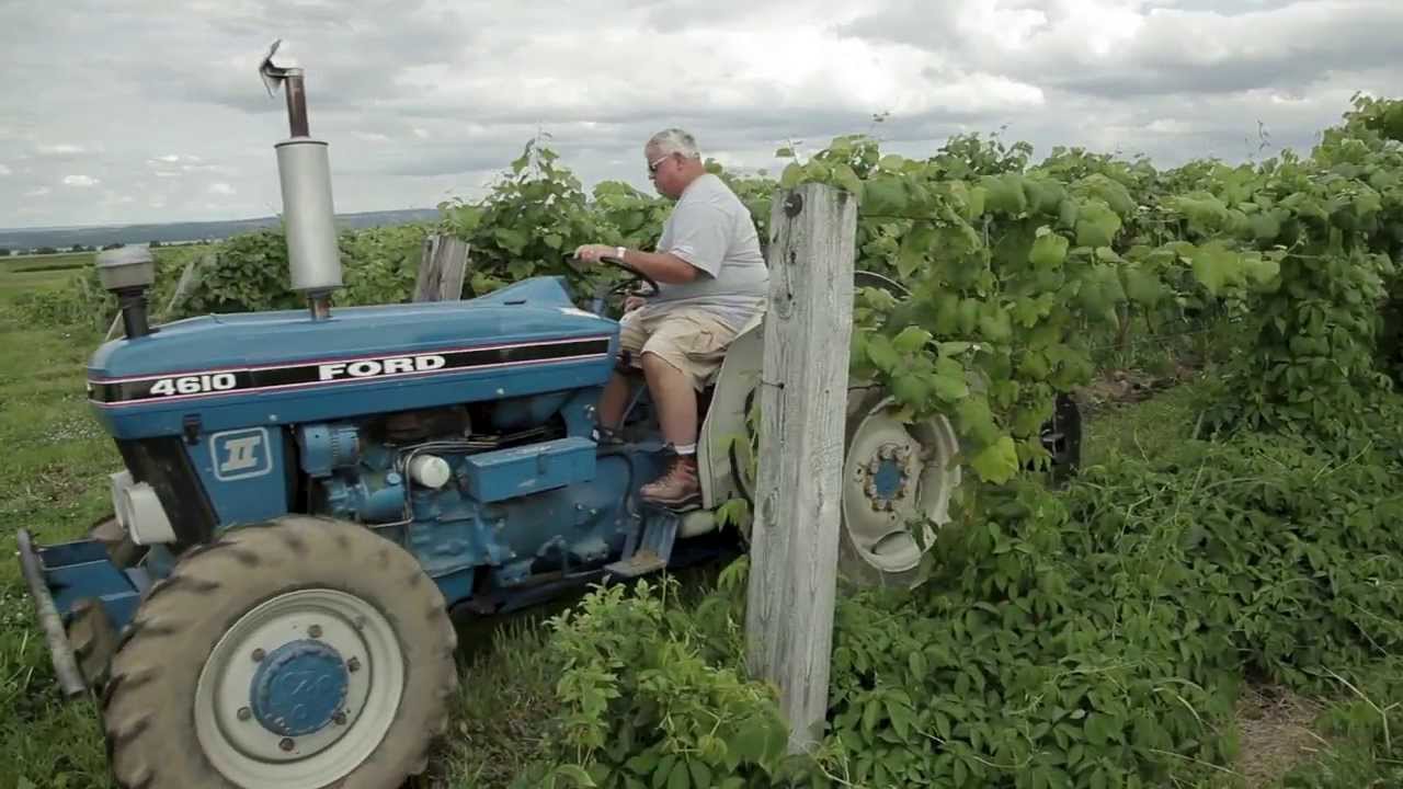 Managing Soil Compaction in the Vineyard