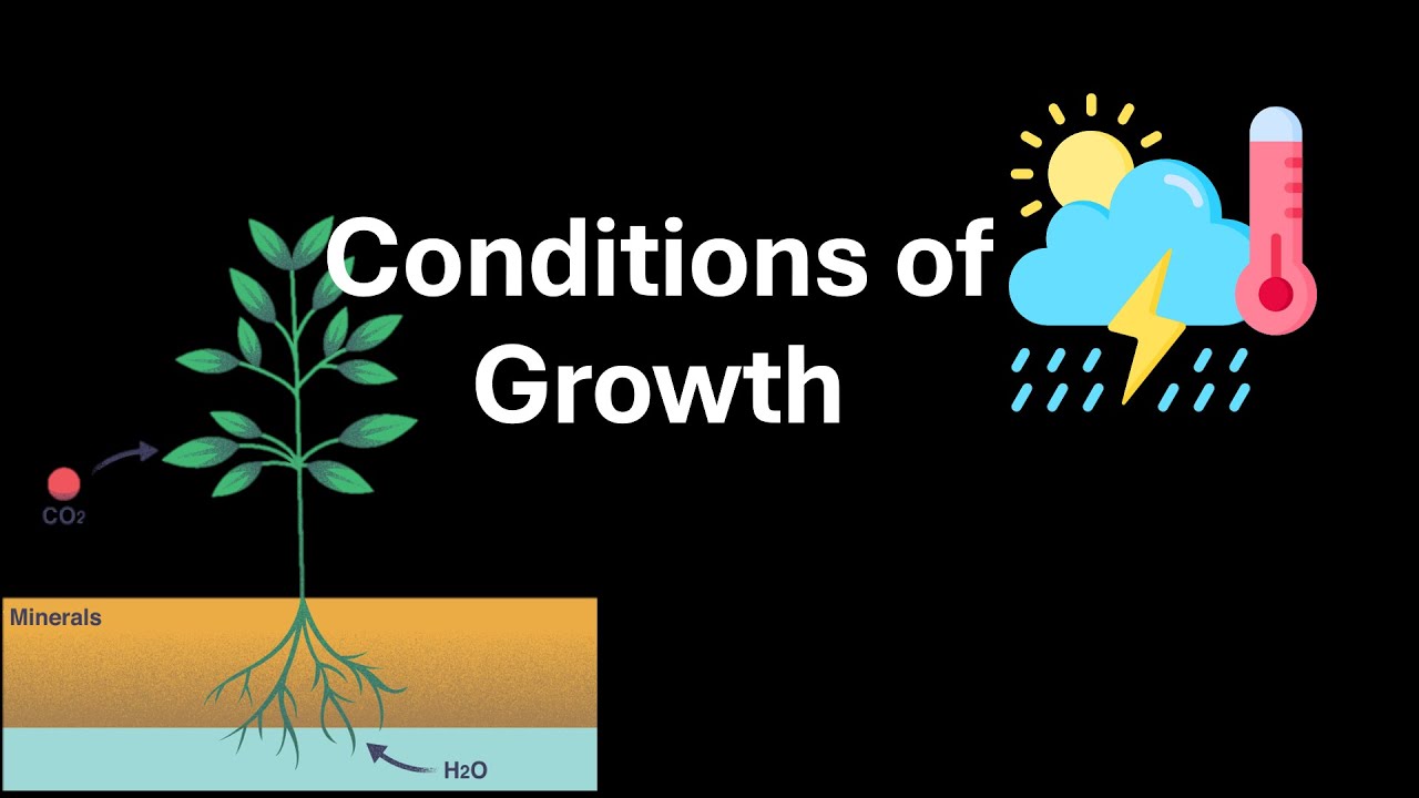 Conditions for Growth | Plant Growth and Development | Class 12 | Botany | Telangana | Khan Academy