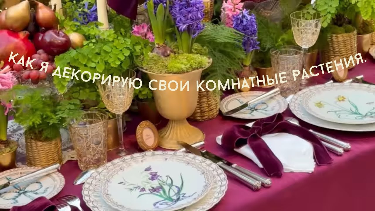 Декорируем комнатные растения.