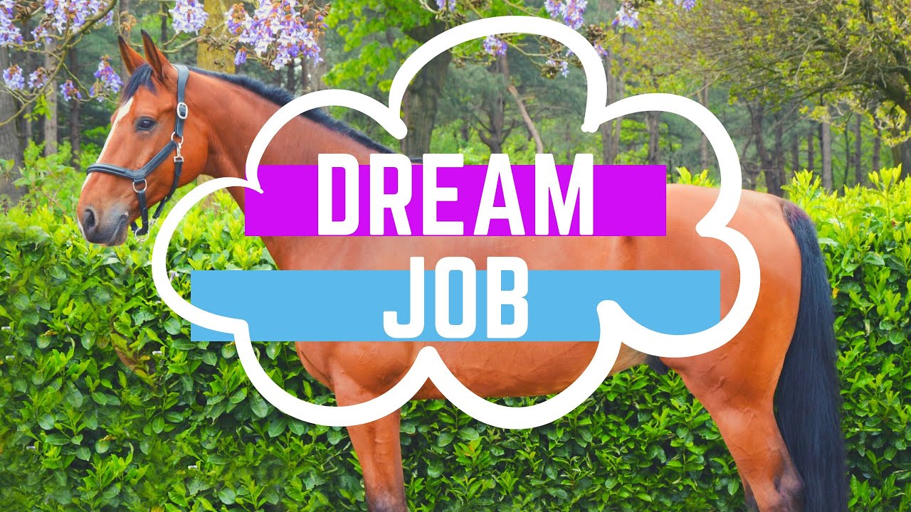 HOW I GOT MY DREAM HORSE JOB?