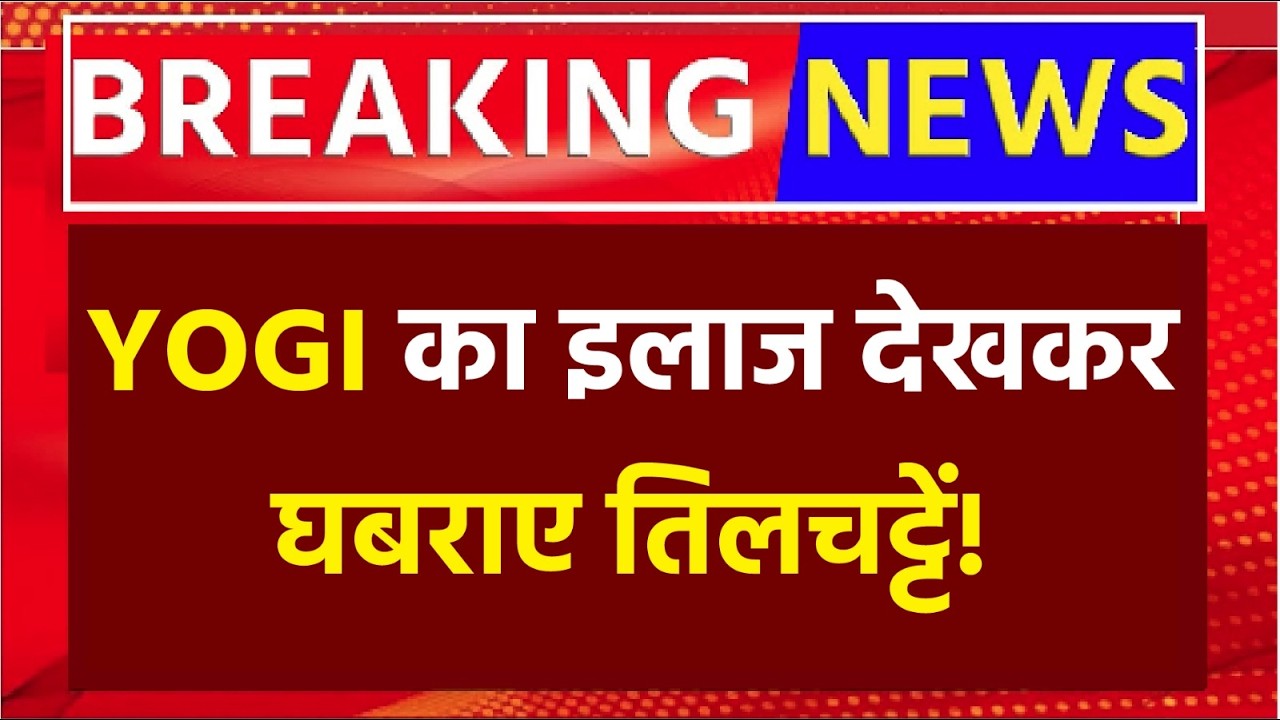 UP News LIVE🟢: CM Yogi का इलाज देखकर घबराए तिलचट्टे! live