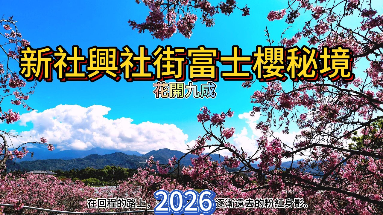 3月11日新社興社街富士櫻秘境