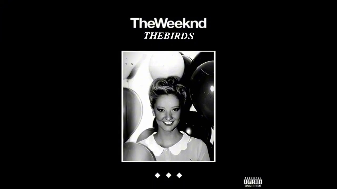 The Weeknd - The Birds Interlude (OG Pitch)