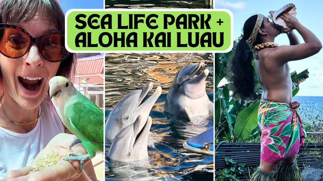 Sea Life Park + Aloha Kai Luau | The Perfect Half Day Trip from Honolulu