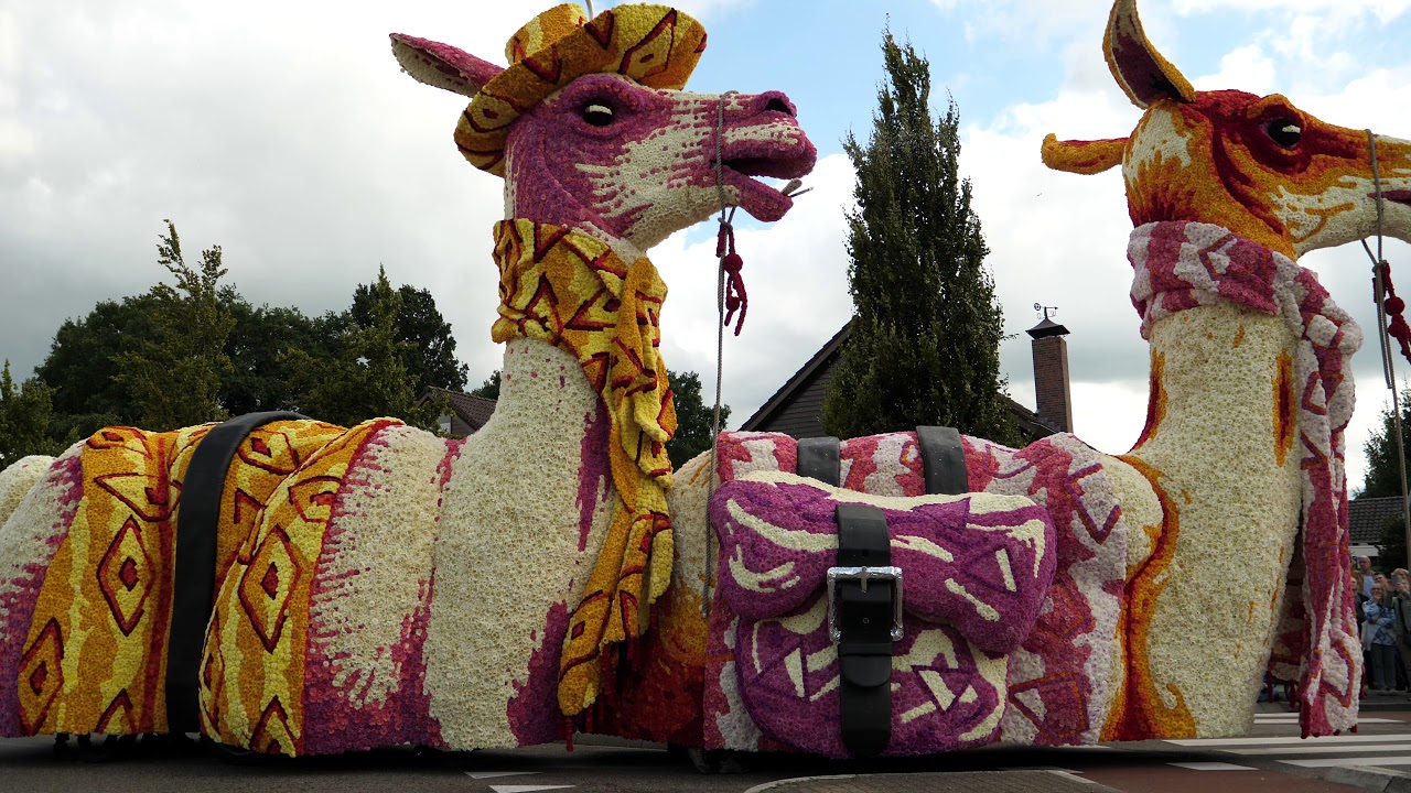 Bloemencorso Lichtenvoorde 2017