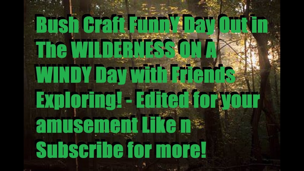 Bush Craft Funny Day Out in The WILDERNESS ON A WINDY Day with Music Feat RinceWindArk & More!