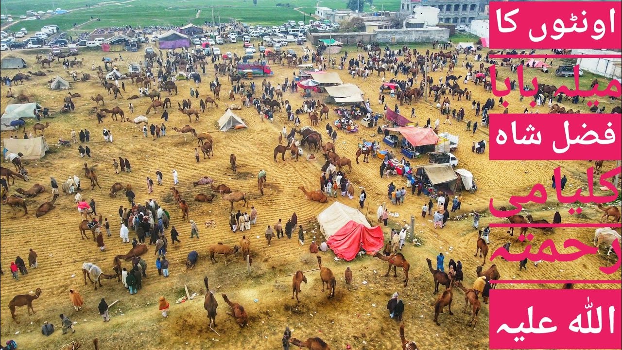 Kalyam sharif mela || Hazrat Baba Fazal shah Kalyami R'A || Urs mubrak 2023