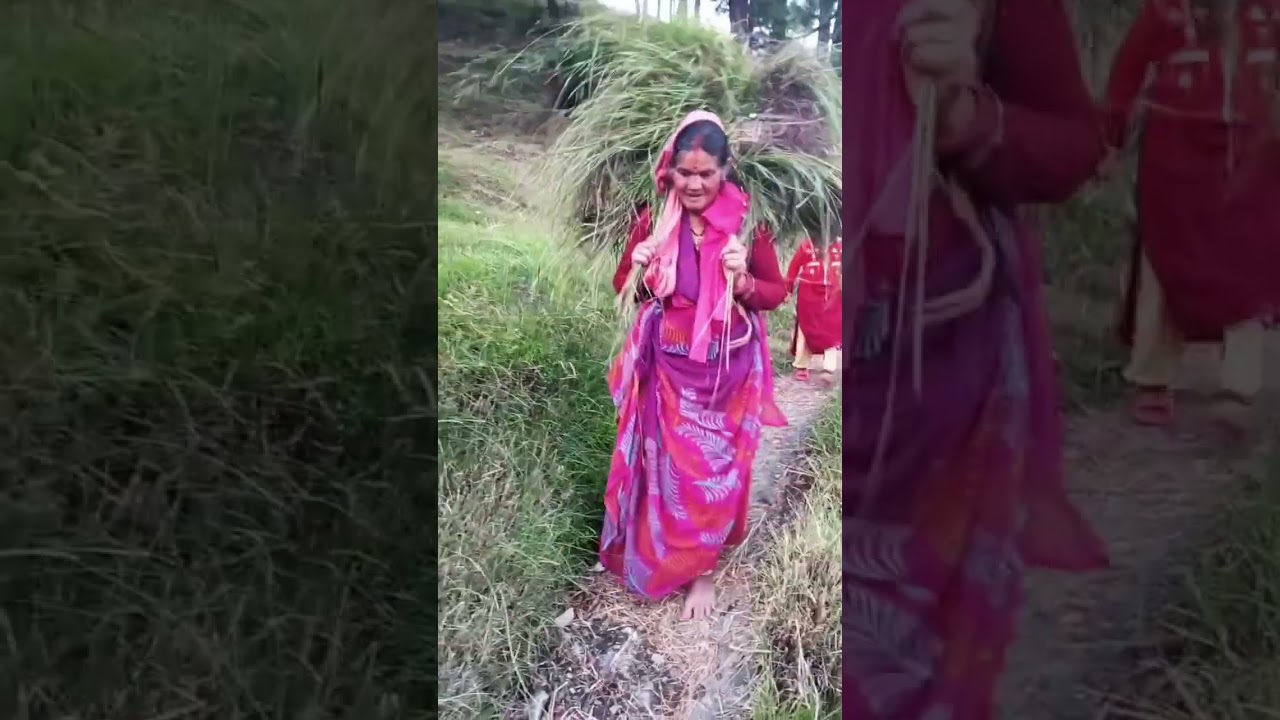 पहाड़ी घस्यारी || Pahadi Lifestyle || Dincharya Pahad ki 🥰 #shorts #youtubeshorts #shortvideo #viral