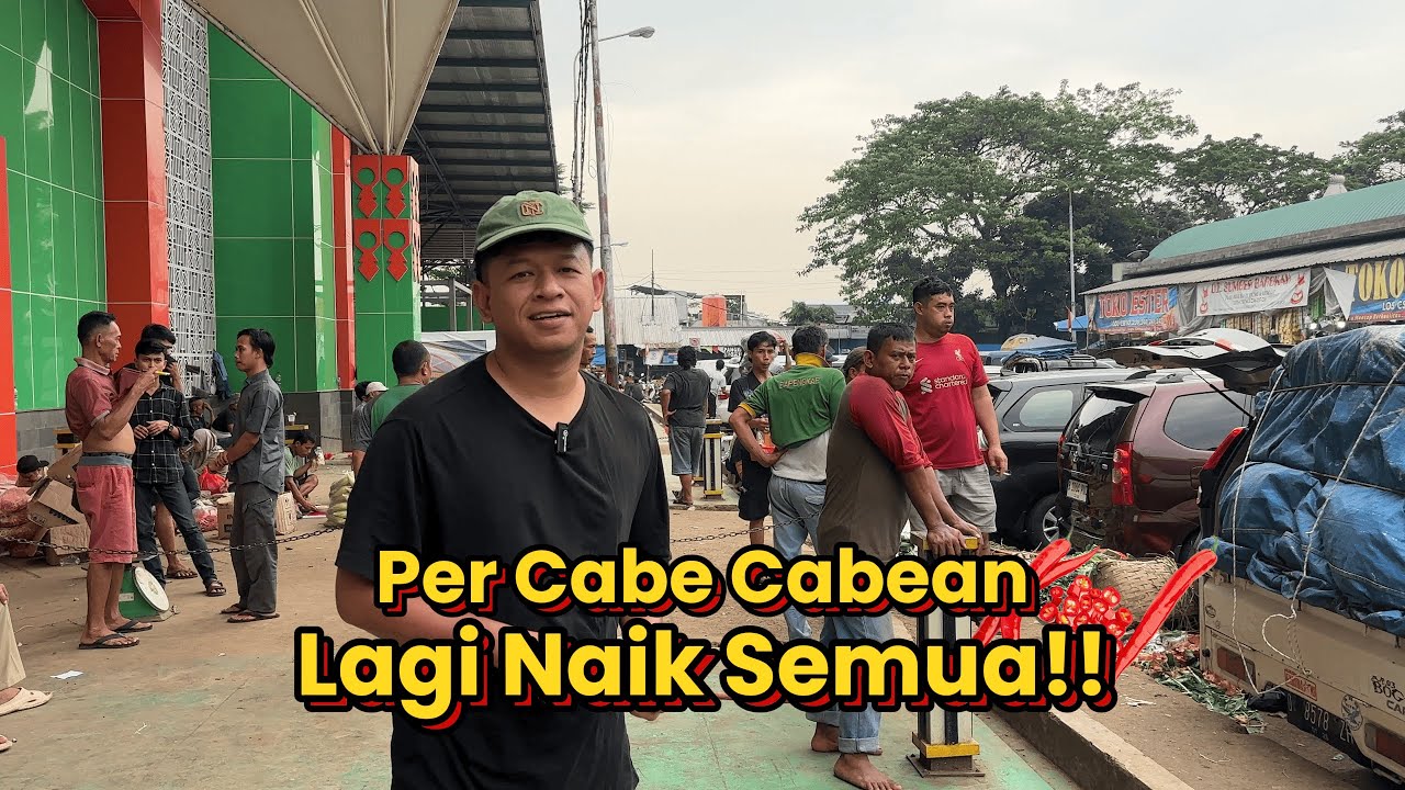 KELILING LOS SAYUR CUMAN CARI INFO KENAPA CABE BISA MAHAL!!