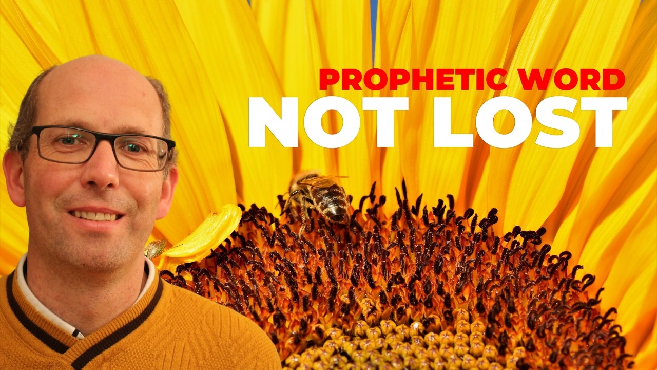 🌻 What You Have Sown Is Not Lost 💛 God Is Bringing the Fruit 🍇