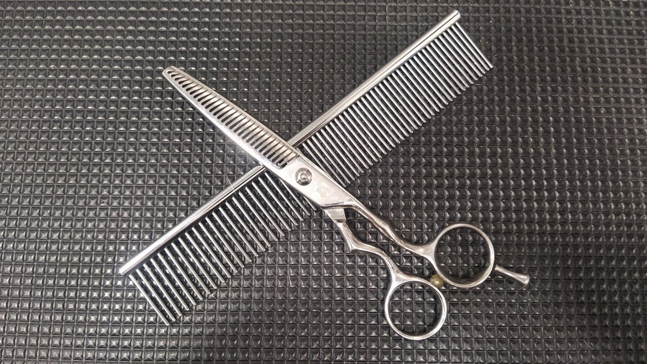Técnica de corte tijera con peine✂️ Corte a tijera Yorkshire Terrier ✂️