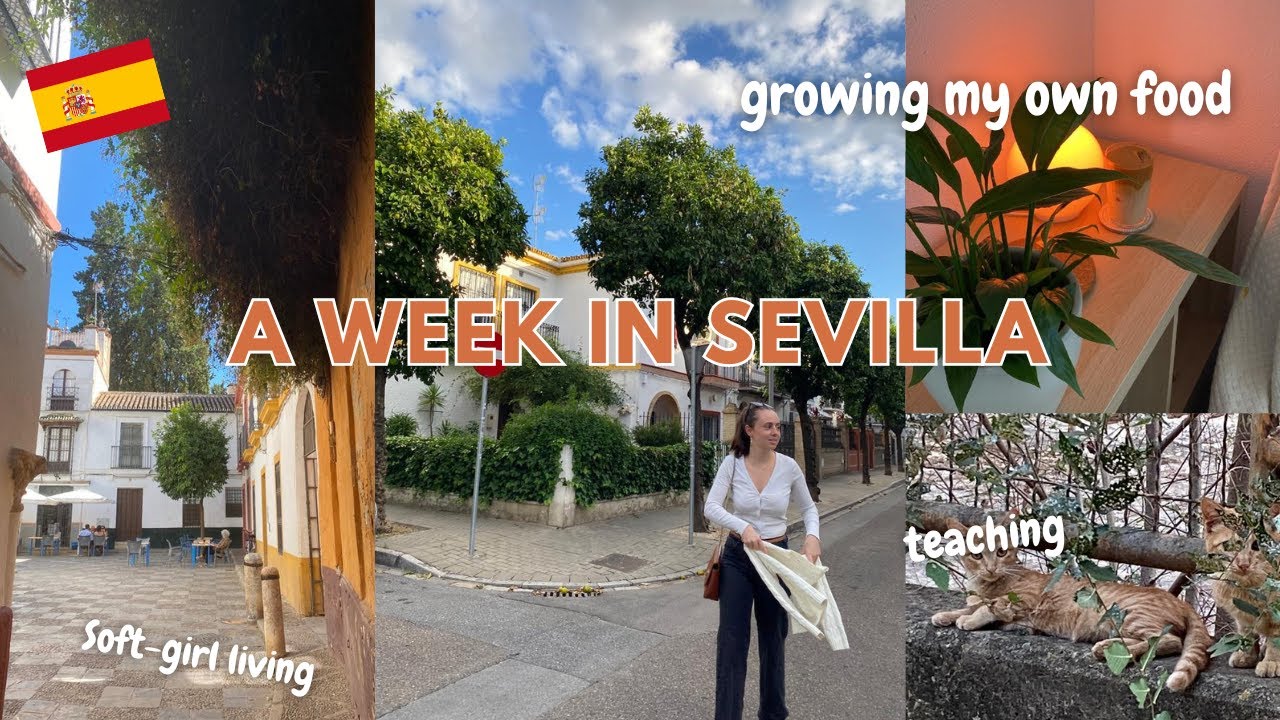 Life in Seville 007: Creating an urban garden, English classes & visiting the city centre!